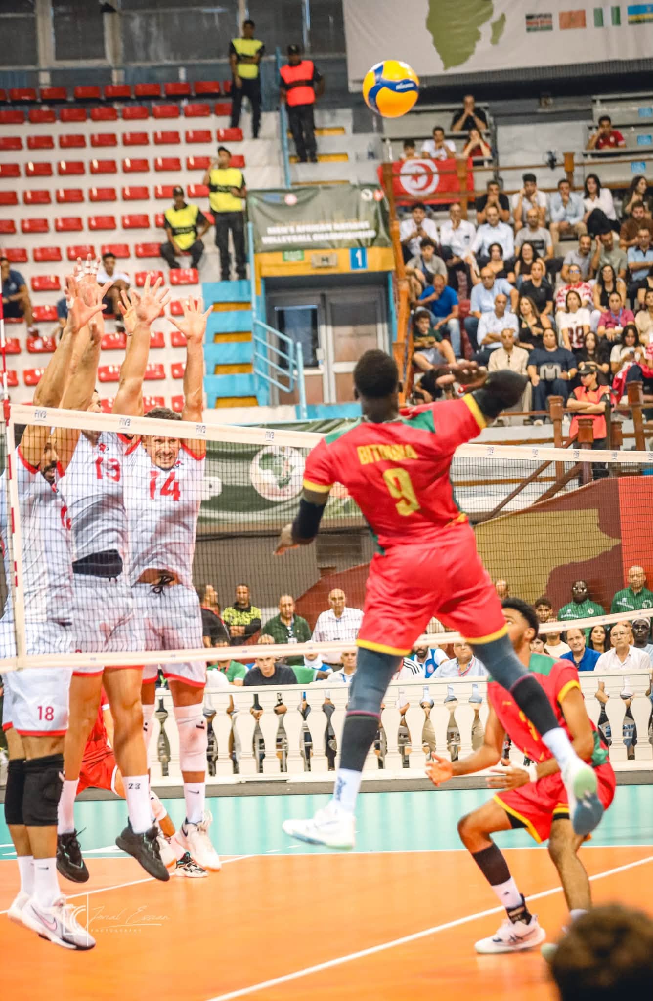 CHAN masculin Tunis 2026 : le Cameroun vice-champion d’Afrique, trois Lions dans la Dream Team — image 21