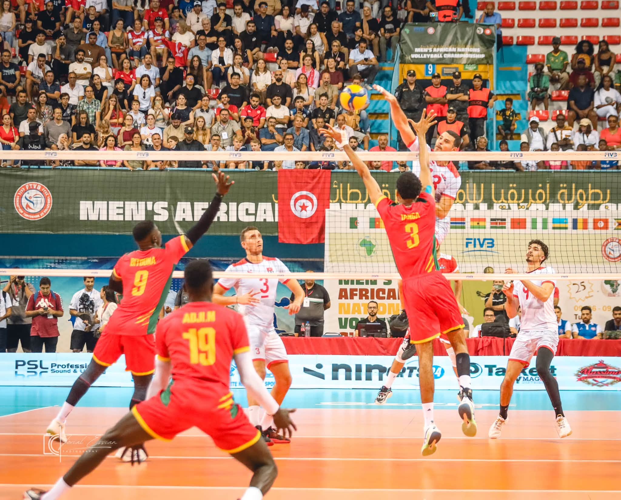 CHAN masculin Tunis 2026 : le Cameroun vice-champion d’Afrique, trois Lions dans la Dream Team — image 8