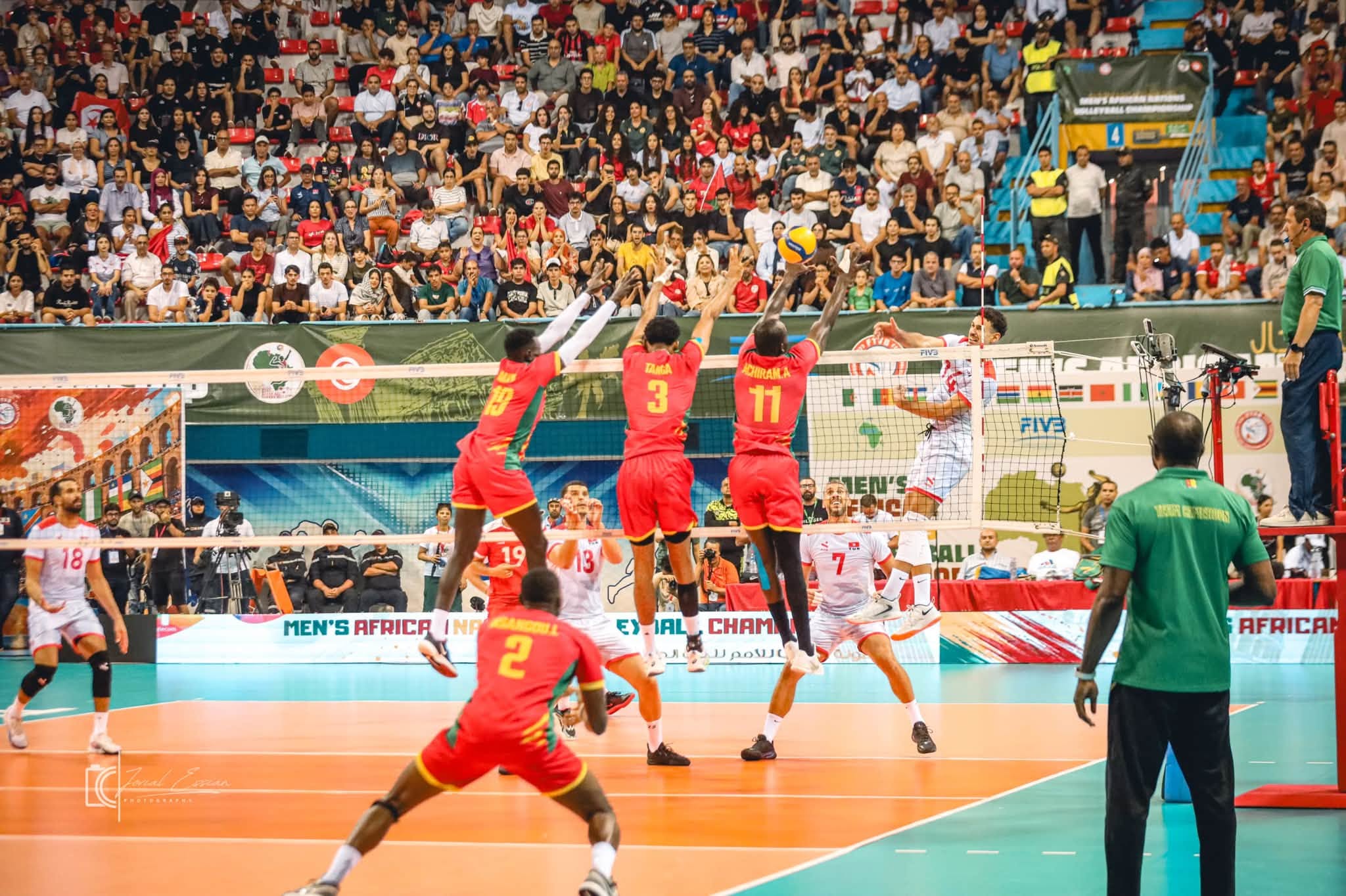 CHAN masculin Tunis 2026 : le Cameroun vice-champion d’Afrique, trois Lions dans la Dream Team — image 16