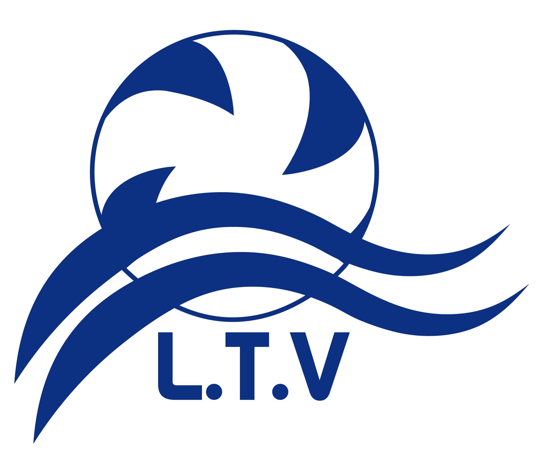 Logo Litto Team Volleyball